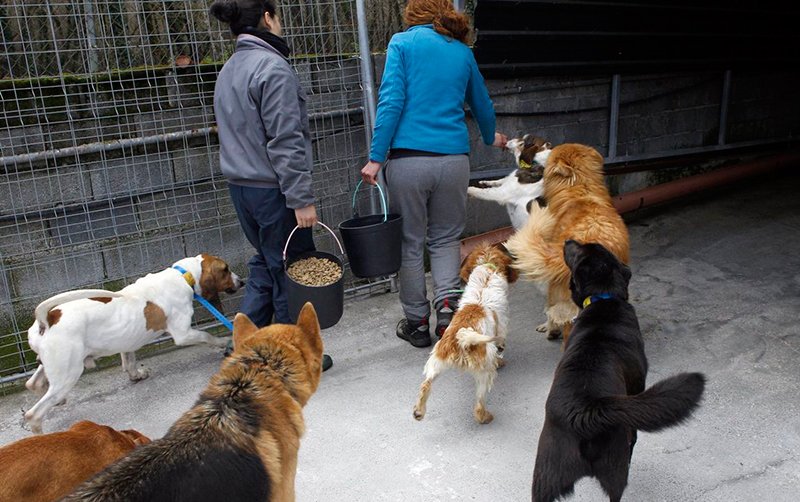 #madrid
 🆘Por favor, ¡¡NECESITAMOS VUESTRA AYUDA!! la protectora está en una situación LÍMITE
Enlace a nota de la Presidenta de <a href="/NuevaVidaAdop/">NUEVA VIDA ADOPCIONES</a> Minerva
OS PEDIMOS que lo leais y nos ayudeis a seguir ayudando a 🐶🐱🐭🐰
GRACIAS!!!
l.facebook.com/l.php?u=https%…