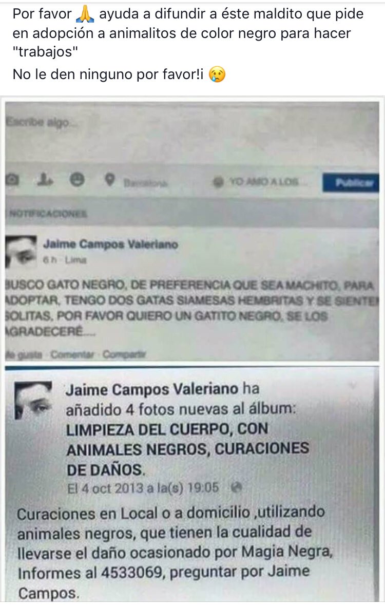 Memeladefrijol's tweet photo. Para quien tenga animales en adopción, hagan filtros exhaustivos para evitar que brujos como éste, los sacrifiquen. @MascotasSismo @AdoptaAmaRockea @UribeMerle @antymob @sebuscaCdMx @apoyomascota @ElMuro_AC @isidrocorro https://t.co/ZQdPekuSBK
