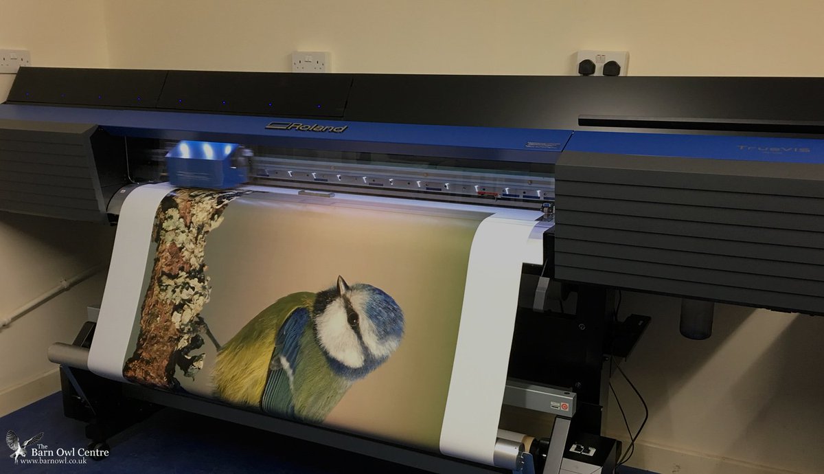 BarnOwlCentre's tweet photo. So pleased with the printing😃 Here's a Blue Tit being printed to add to a growing display, this being a very 😶BIG😶 Blue Tit at 42"x 60" I wonder what the local Sparrowhawk thinks when he meets him😀 https://t.co/FYHJLTLiCs