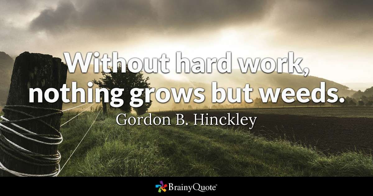 this explains the condition of my yard. . . Lets just say I am not proud. Gordon B. Hinckley Quotes buff.ly/2w71orm