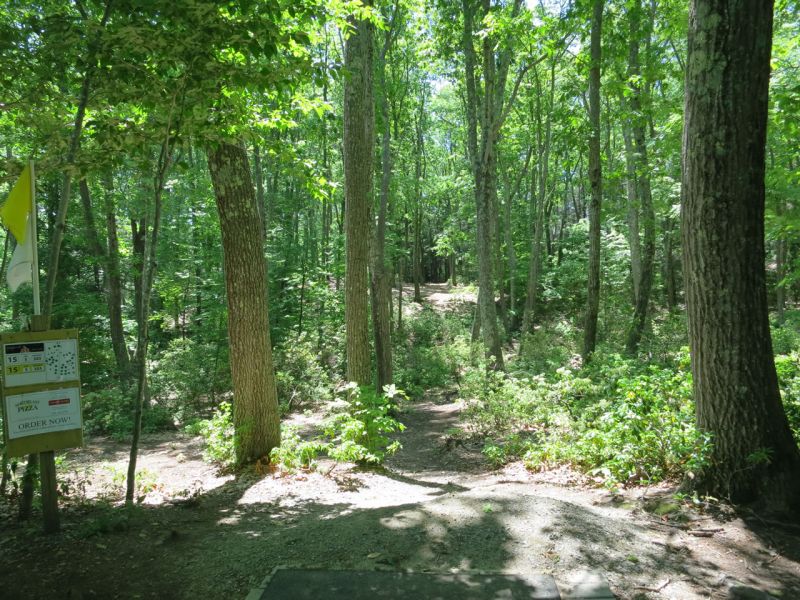 ACE!!! Samuel Aldrich #22055 from Stockton, CA throws a hole-in-one on the 355 foot 15th hole at the 2018 MVP Open at Maple Hill! 

#MVPOpen #DiscGolfProTour #PDGA