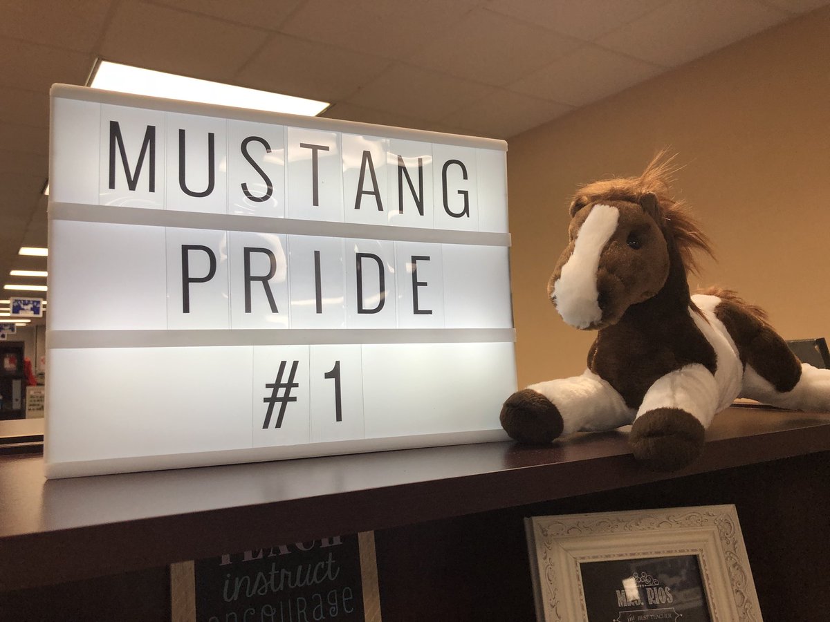 riossabercats's tweet image. Ready to see kiddos at the school on Monday! @cyfairMillsap @MrsVanSickle5 #itswhatmustangsdo