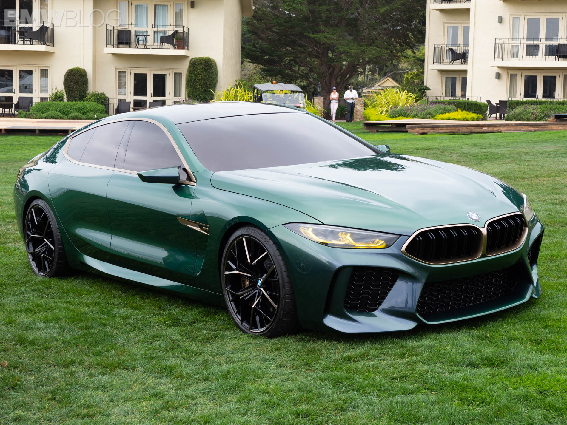 Bmw m8 green