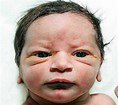 JefereeJ's tweet photo. isnt this a face only a mother could love hahahahah!!!!
#uglybabies #uglyduckling #gross #funniest https://t.co/FohLi8vRHd