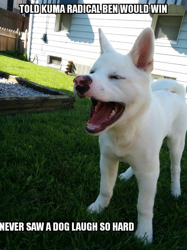 AllForMd's tweet image. Good lord @BenJealous even the pup think's you're campaign is funny.

@MarylandYRs @GOPMontgomery