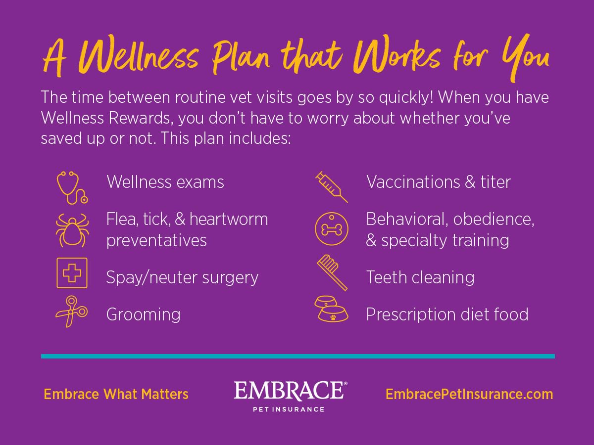 Be there for your pet in sickness AND in health. Check out our Wellness Rewards for routine care! → buff.ly/2BnDaye #EmbraceYourPets #FridayFeeling #Wellness #RoutineCare #PetInsurance #PetParents #Pets #PetLovers #PetCare