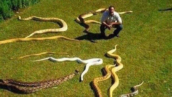 ProfJohnGaskill's tweet photo. How I feel working at Holby. 

*Cough cough* @RoxannaMMNhs_ https://t.co/jJlq7aUALm