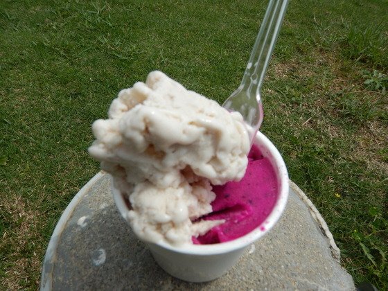 ドラゴンフルーツアイス