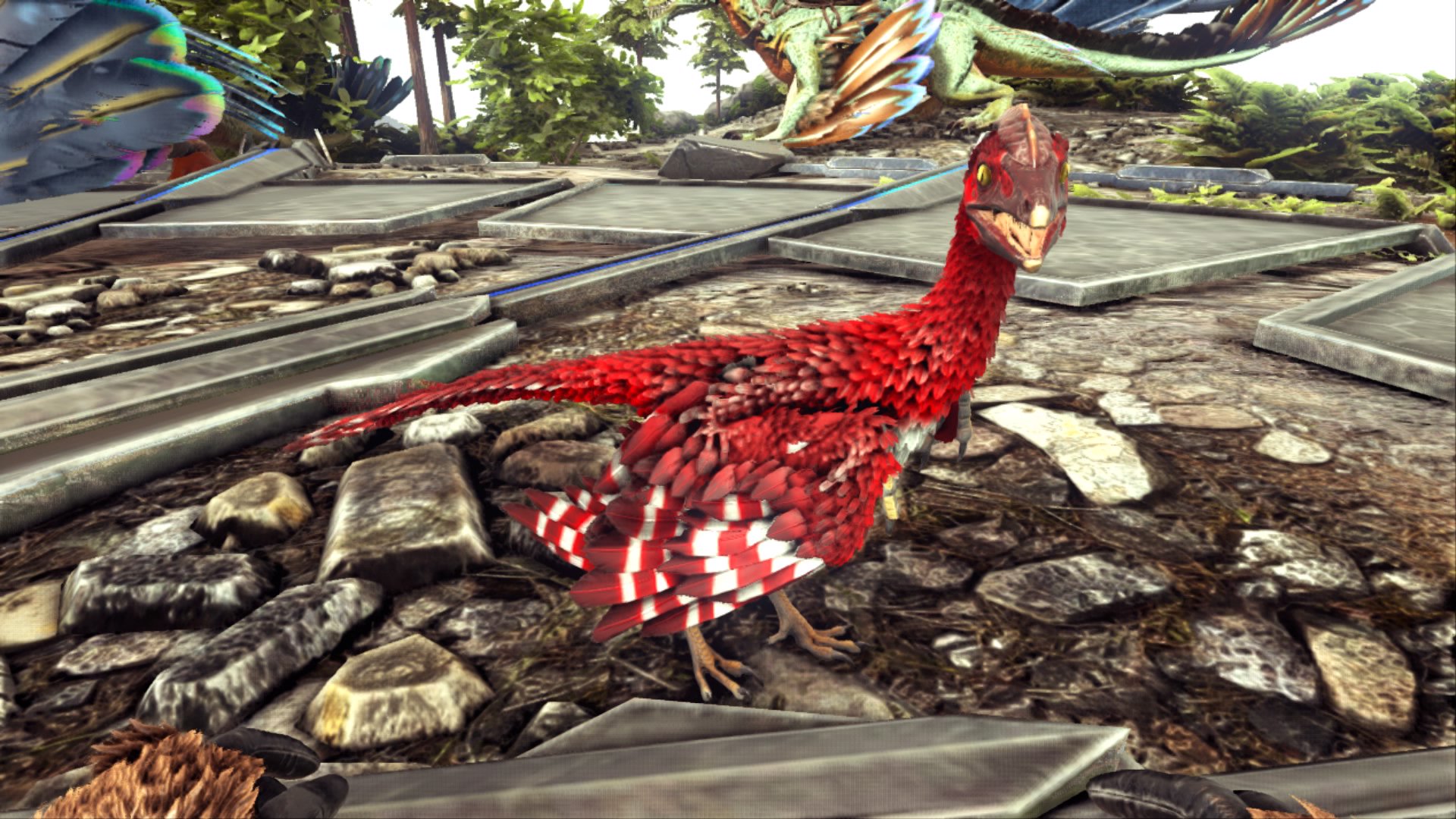 りーさ イベカラのミクロラプトルもテイム 羽のとこボーダーなっててかわいい Ps4share Ark T Co Saepfycjzh Twitter りーさ イベカラのミクロラプトルもテイム 羽のとこボーダーなっててかわいい Ps4share Ark T Co Saepfycjzh Twitter