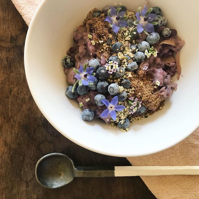 brunchpants tweet media