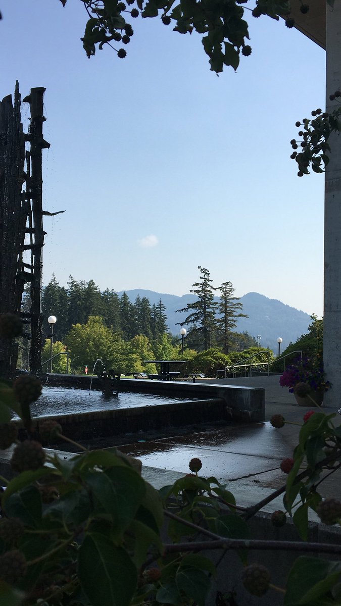 WWUCampusRec's tweet image. What a difference a day makes!
😷➡️😎