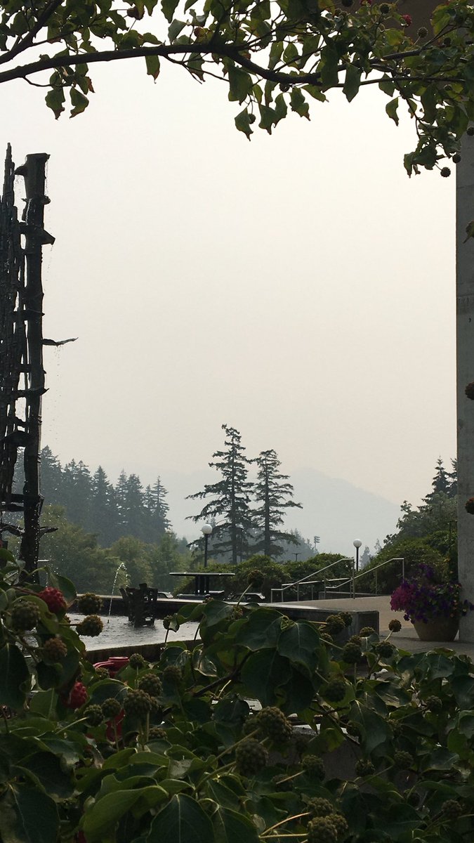 WWUCampusRec's tweet image. What a difference a day makes!
😷➡️😎