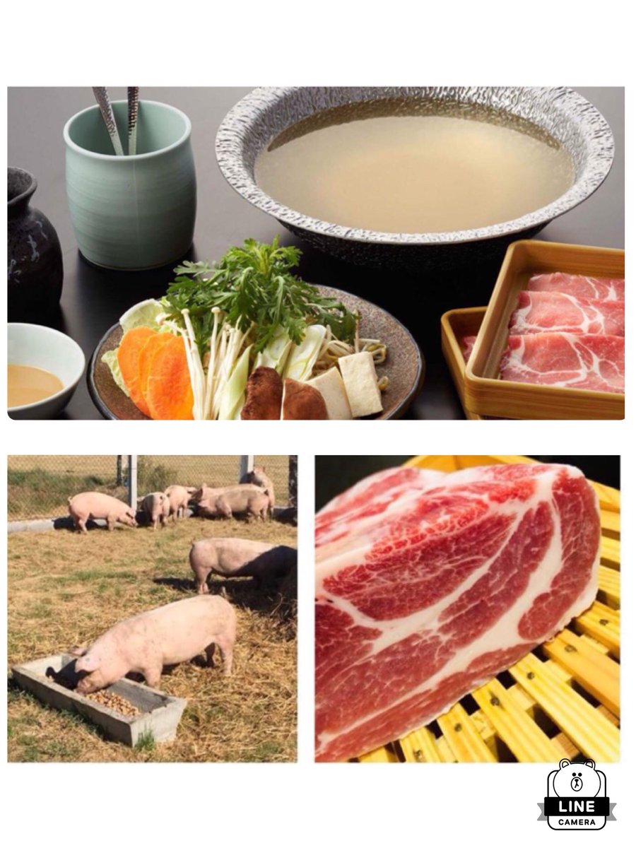 モーパラ高田馬場牧場 Momoparadise Takadanobaba Pa Twitter 夏の大感謝祭 8月限定で スペイン産 ガルシア地方の栗豚しゃぶしゃぶ 100分食べ放題が 1790 税でご提供します 合宿帰り 部活帰りなどにご利用ください ご来店お待ちしてます 高田馬場 早稲田大学 モーパラ高田馬場牧場 Momoparadise Takadanobaba Pa Twitter 夏の大感謝祭 8月限定で スペイン産 ガルシア地方の栗豚しゃぶしゃぶ 100分食べ放題が 1790 税でご提供します 合宿帰り 部活帰りなどにご利用ください ご来店お待ちしてます 高田馬場 早稲田大学