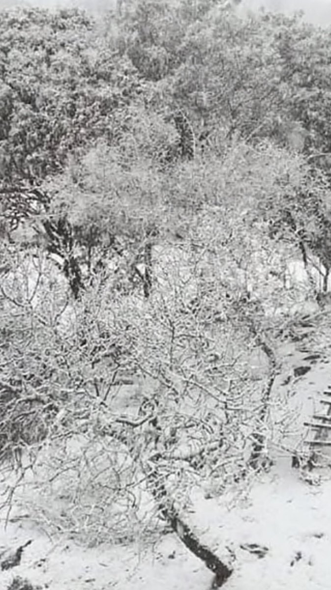 Ayer nevó en las Sierras del Sur de Cordoba (Las Albacss, El Chacay y varias localidades más ). Un espectáculo hermoso. Cordoba siempre de temporada!