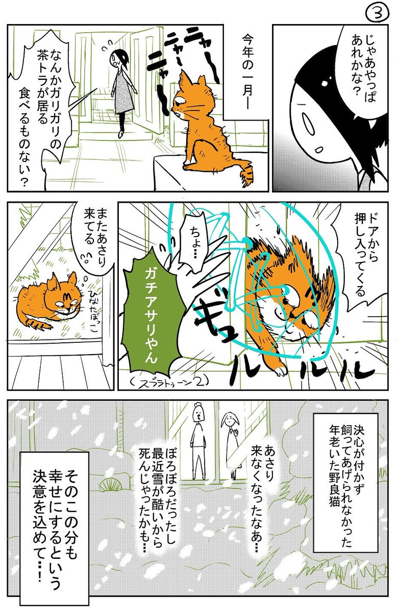 漫画 ヘルズキッチン の天道グミ先生 保護猫を飼う Togetter 漫画 ヘルズキッチン の天道グミ先生 保護猫を飼う Togetter