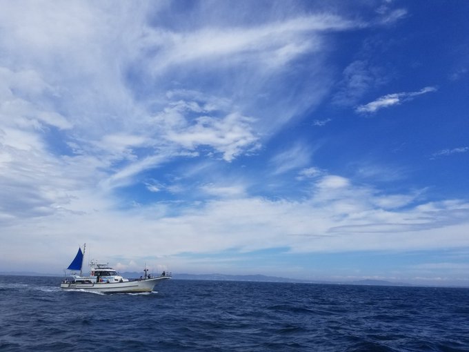 Ering Thxさんのイラスト一覧