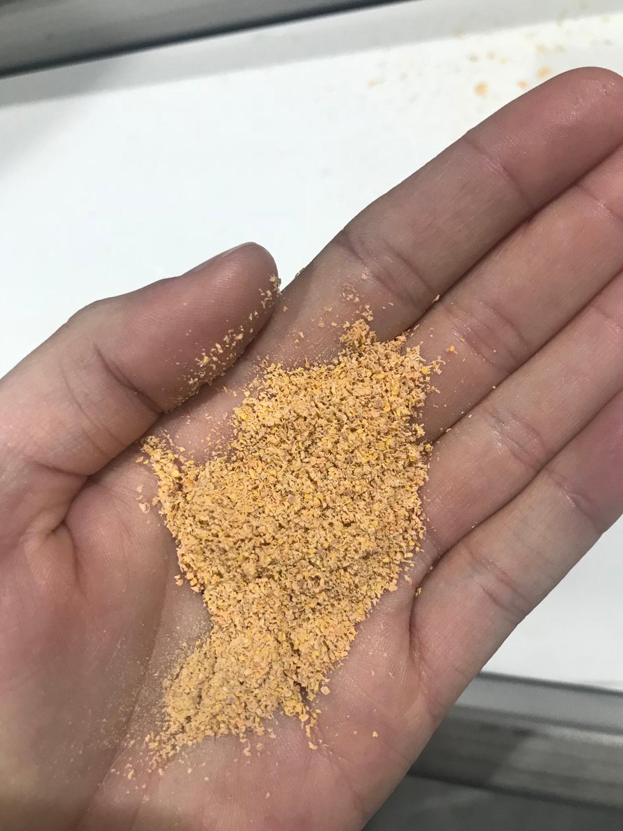 abclandline's tweet photo. Sweet potato farmers are ploughing crops back into paddocks because of a massive glut. The problem has prompted some new ways of thinking about how to use the vegetable — including transforming the surplus spuds into flour.
This Sunday, #NoonThirty on ABC
📸 Courtney Wilson https://t.co/YcU9szlEln