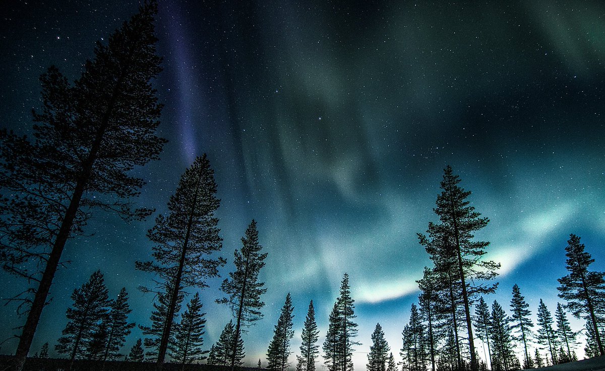 The nights on the Arctic Circle got finally dark enough and auroras are  getting brighter and brighter. We cannot wait to spend the nights  outside by the campfire, watching this magical show. It's the best time  to visit us here in Lapland. 🌌
 Photo: <a href="/majkavojtovic/">Mária Vojtovičová</a>