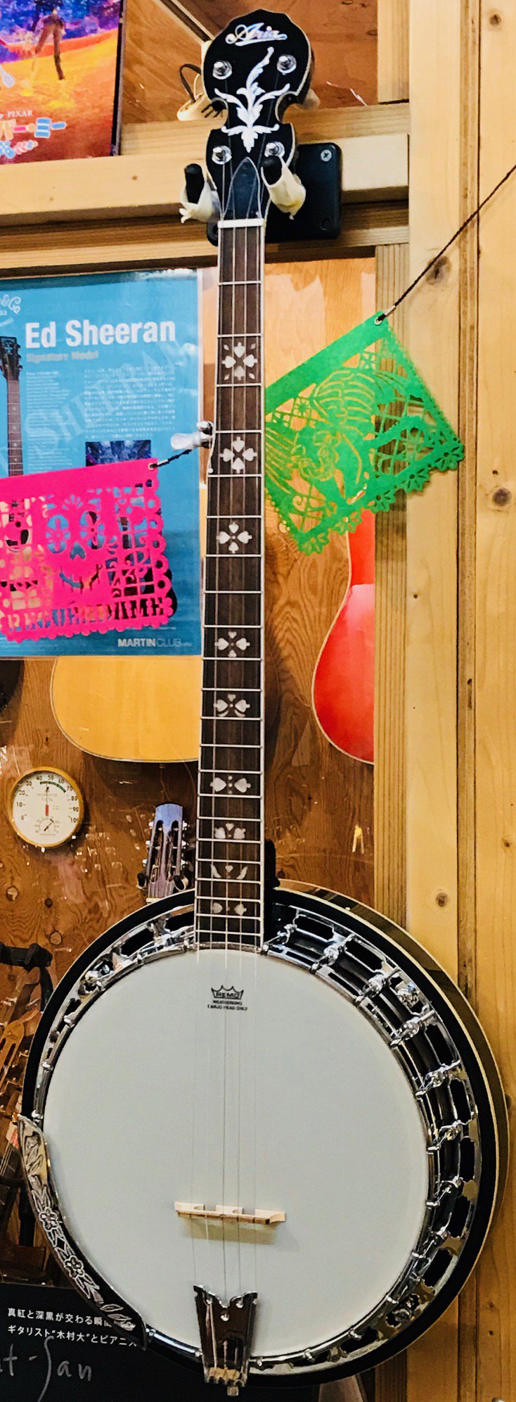 エピフォン Epiphone MB-250 Banjo バンジョー（Epiphone Banjo