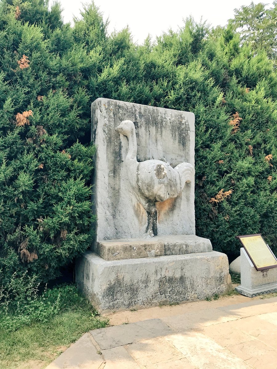 些事 乾陵は則天武后 とその夫の皇帝 のお墓 無字碑と首の落とされてしまった部下達とダチョウ