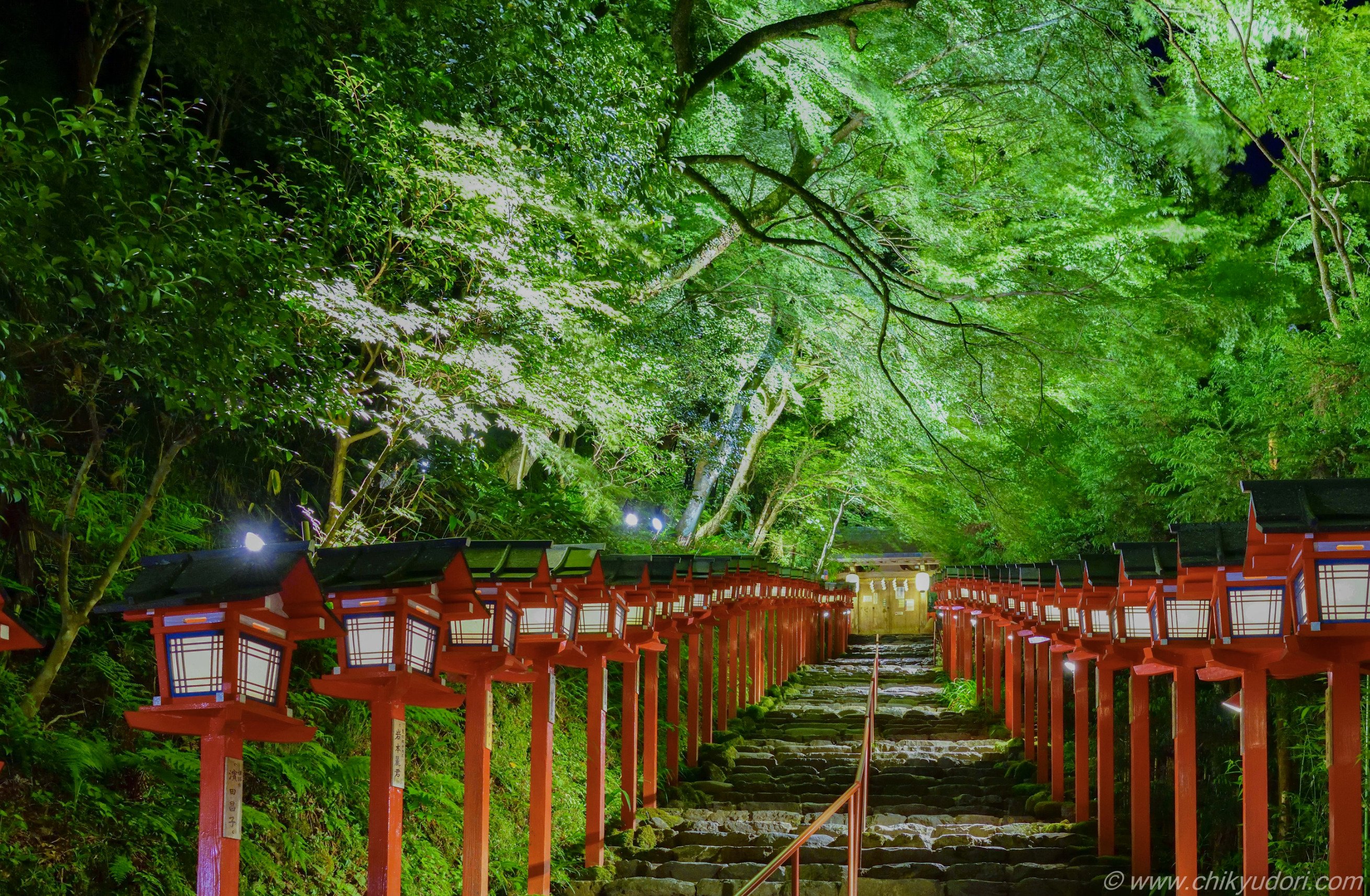 地球の撮り方 Com 絶景ブログ Twitterren こんな時だから写真で旅行気分を 透かしの無いフルサイズ画質です 京都の絶景 京都 の新緑の青もみじ 貴船神社のライトアップ D850の高感度撮影 をまとめてみました コロナで気が滅入るからみんなの写真で旅行
