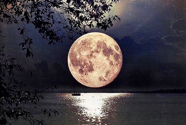 A_AMilne's tweet photo. "Where reason gives us least assistance, emotion comes to our rescue and guides us. The astronomer may tell us something about the moon, but so too does the poet. The astronomer's moon is everybody's moon; the poet's  is very much his own and not everyone can share it."~C.R.Milne https://t.co/O5mXZeSjSz