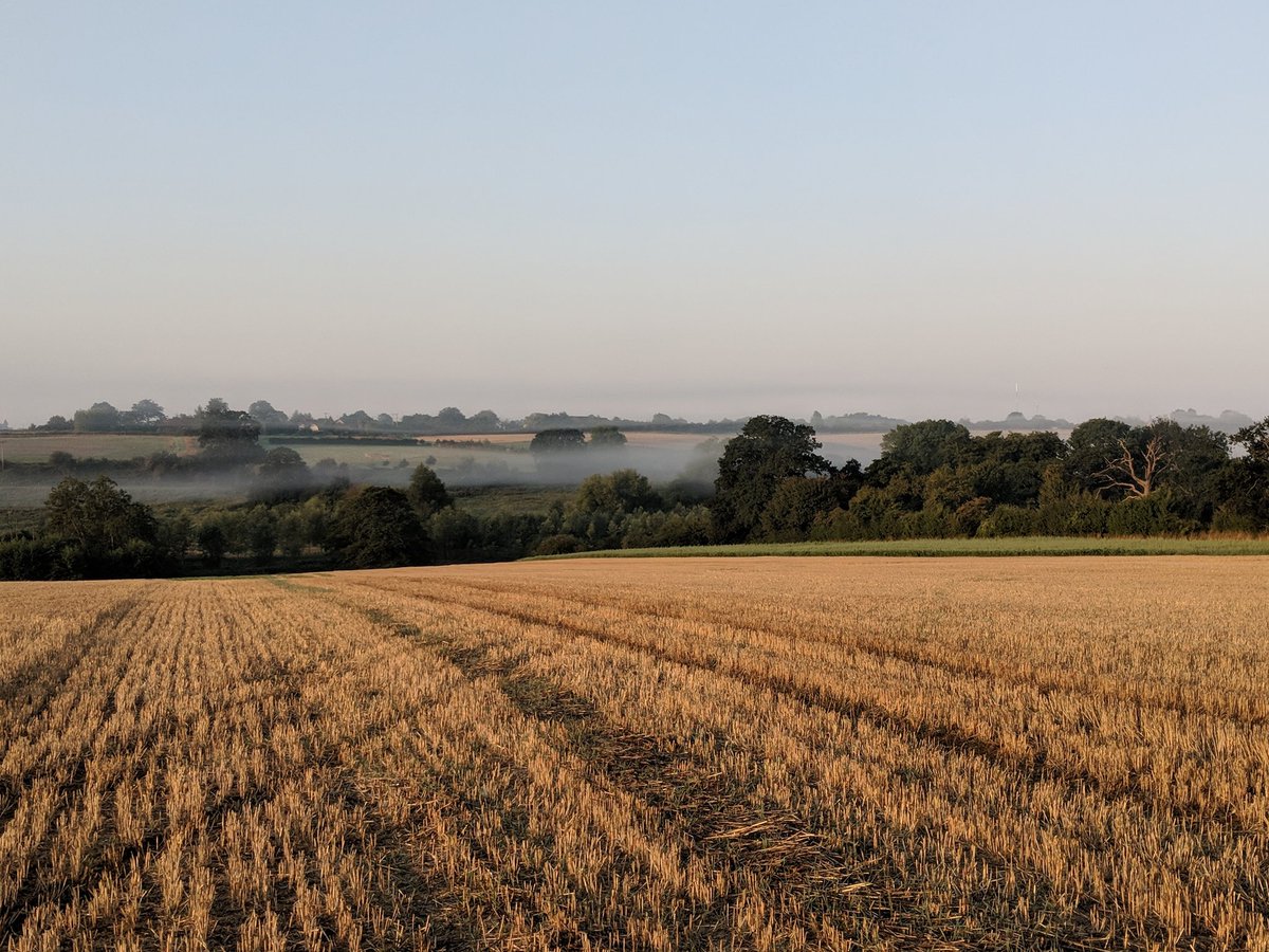 SherLodgeCott's tweet photo. Watching the mist lift whilst out walking this morning #stunningcountryside #nooneelsearound #Suffolk #canonlyhearabuzzard https://t.co/Hxf5YXfaDq