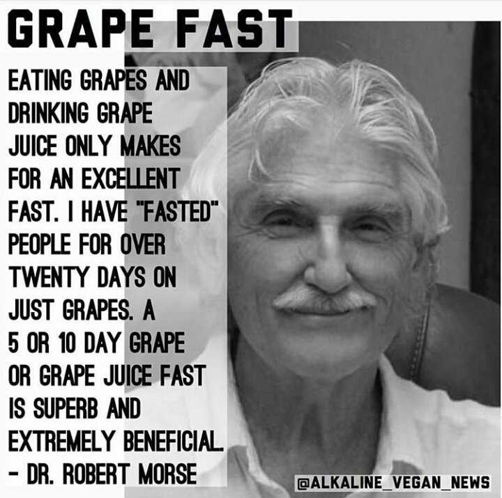 balancecapetown's tweet photo. #SpringDay #grapefast #renewal #freshstart https://t.co/Q64cyBjBJf