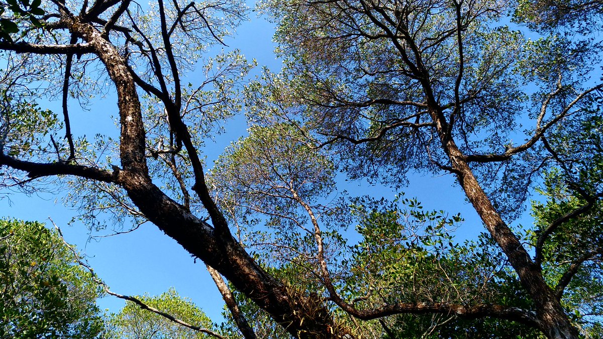 Jangan lupa ya, 
Piknik di taman nasional ada aturannya, yang pasti harus ikut menjaga kelestariannya. 
Jangan injak2 karang, jangan buang sampah sembarangan, karena akan merusak.

Turis keren pasti ngerti dong, yaa khaan 
#ecotourism 
#tamannasional 
#karimunjawa