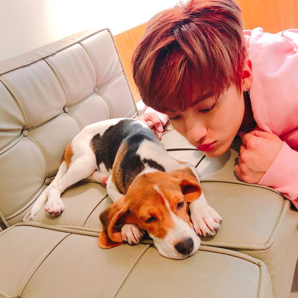 [에릭] To. 땅콩, 호두 🐶 
사랑해. 많이. ❤️

To. Peanut, Walnut
“Always remember, Eric loves you”