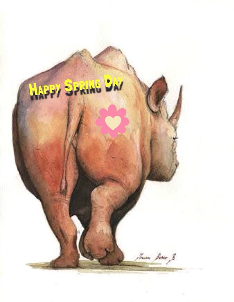 Happy Spring Day🌸🦏 #SpringDay #spring #SouthAfrica #SaterdayMorning #Rhino #RhinoConnect #RhinoConservation #HelloSpring #SaveTheRhino