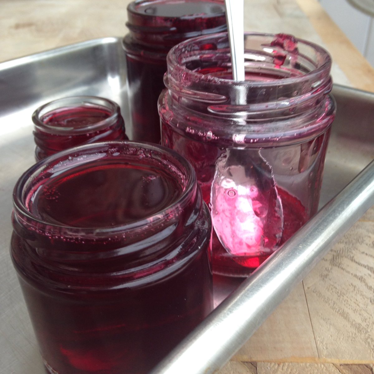 Vivien Lloyd tweet media