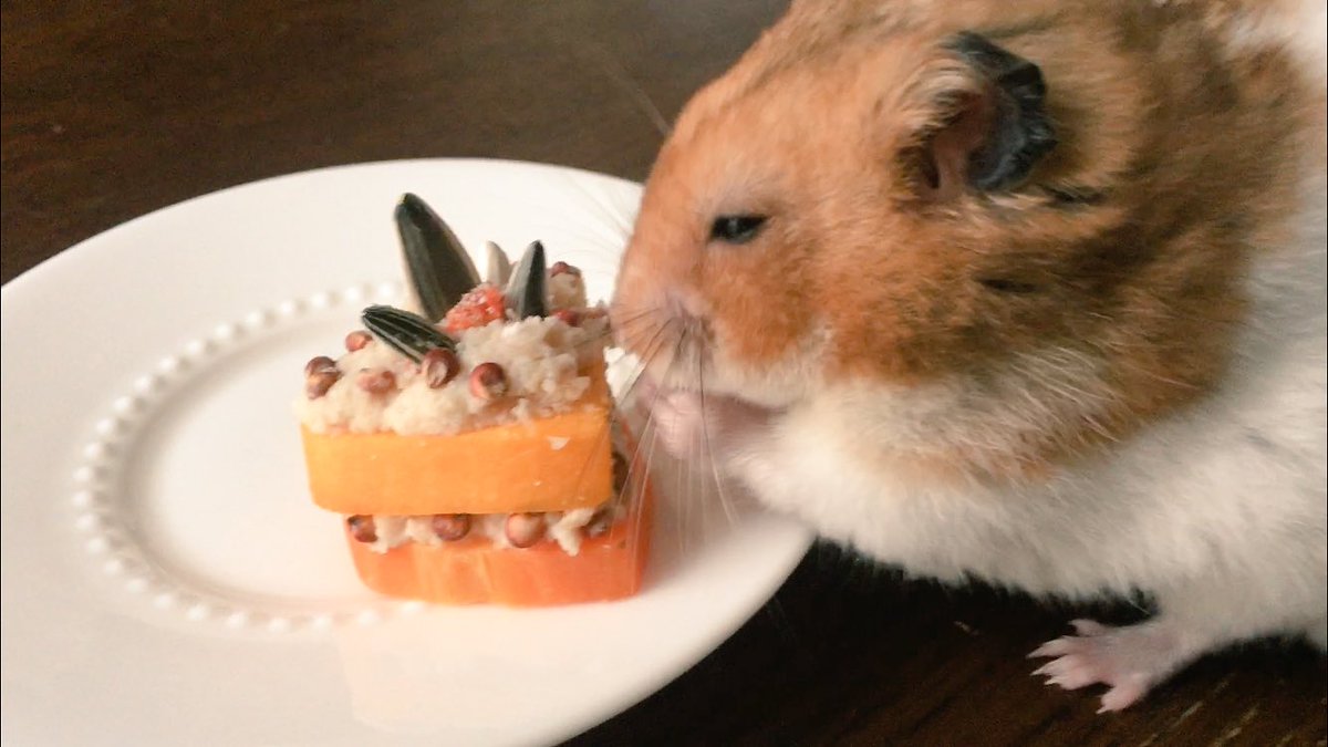 ろとくん ケーキはニンジンとカボチャをハート型にくり抜いてお麩をすり鉢ですってお水を加えてペースト状にしたものをサンドしました トッピングはミックスフードのマイロと紅花の実です ハムスター ゴールデンハムスター ハッピーバースデー ろとくん ケーキはニンジンとカボチャをハート型にくり抜いてお麩をすり鉢ですってお水を加えてペースト状にしたものをサンドしました トッピングはミックスフードのマイロと紅花の実です ハムスター ゴールデンハムスター ハッピーバースデー