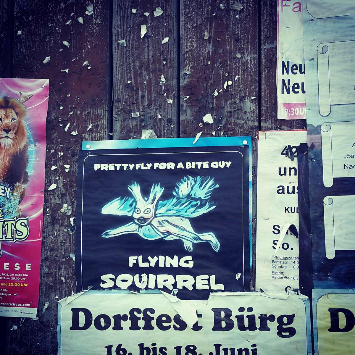 FS_Rockband's tweet photo. #September - #Squirrel-Season is back! 🐿️👌Lange überklebt, hat sich dieses Plakat wieder an die Oberfläche gekämpft 🤘Perfekter Reminder: Nach der Sommerpause gibt's wieder #Livemusik von uns in der #Rock-Kneipe ROCKS in #Öhringen. #rockband #hohenlohe #heilbronn https://t.co/mBNWlPPgBG