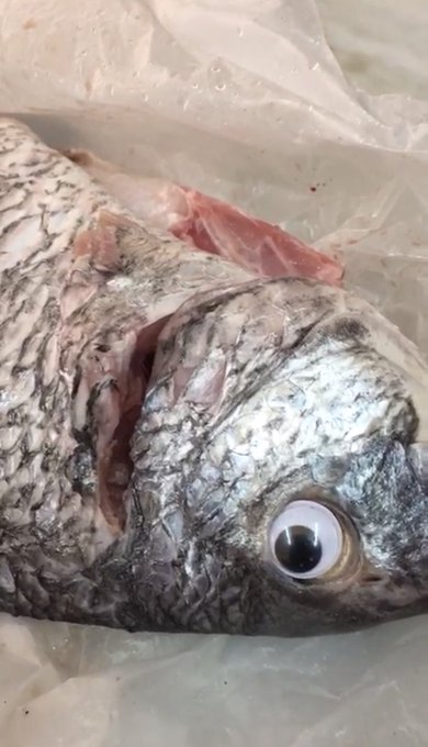 Ver imagen en Twitter