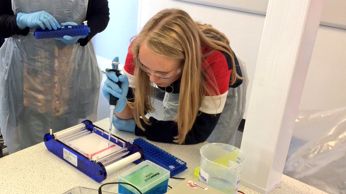 HyndlandScience's tweet image. Our @HyndlandSec Higher Biology students had a great day yesterday at the @UofGlasgow &amp;amp; @gsc1 #PCRworkshop - a fantastic opportunity and experience to carry out practical work in a university lab setting!