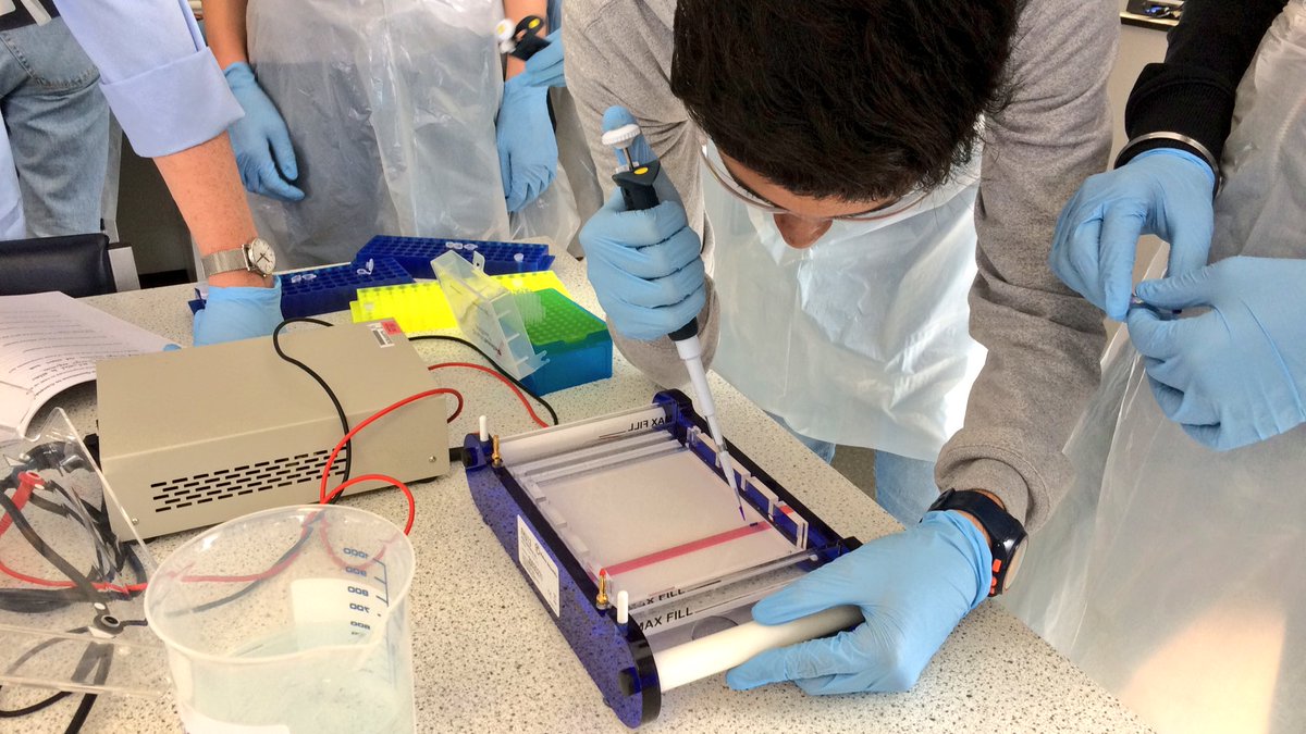 HyndlandScience's tweet image. Our @HyndlandSec Higher Biology students had a great day yesterday at the @UofGlasgow &amp;amp; @gsc1 #PCRworkshop - a fantastic opportunity and experience to carry out practical work in a university lab setting!