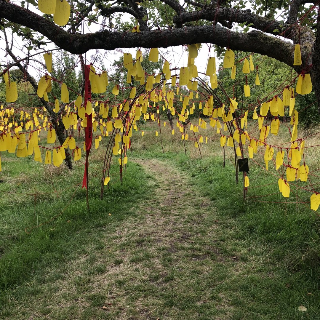 ShakespeareBT's tweet photo. Today marks the final day of our installation based on Romeo and Juliet. Come down to Anne Hathaway's Cottage for your final chance to experience the play, as you've never seen or heard it before. #GiveAScript #ThreadsOfTheUnsaid https://t.co/MDmcIn9Aaa https://t.co/fhrNl6geDT