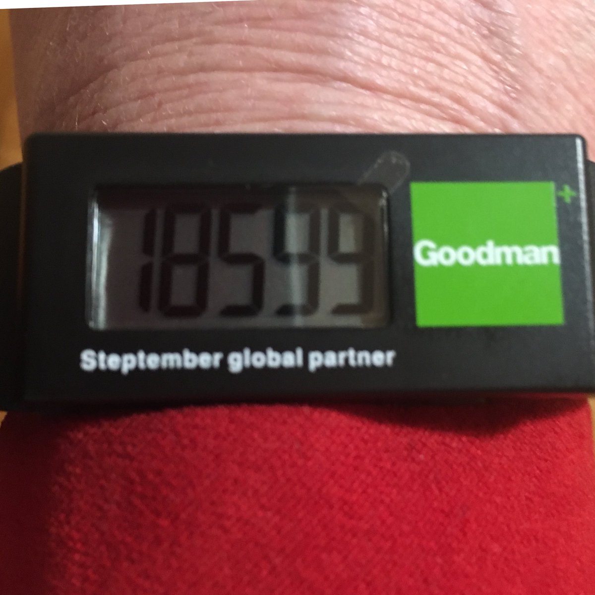 Beth_VP1's tweet photo. Feeling ripped off- door knocking 1Sept but none of my steps count for Steptember @sallymcmanus you must change the rules! #Steptember https://t.co/aRP49EzpRi
