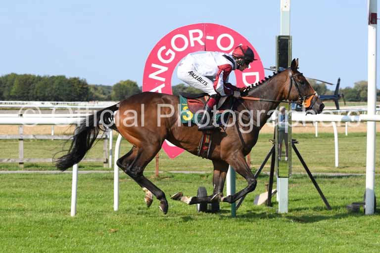 offphoto's tweet photo. Included &amp; jockey @samtwiston win at Bangor for trainer @trainingwinners &amp; owners @ValueRacingClub Check out all the official photographs at https://t.co/SiFf9WTz4m https://t.co/vnMfCZQQPw