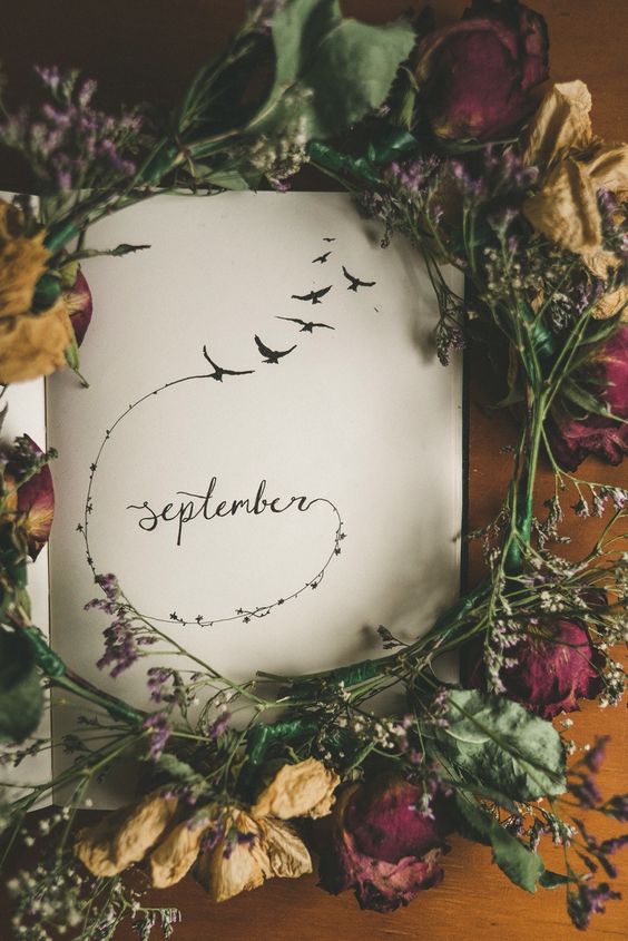 How is it September already? This year is going mega fast! #helloseptember