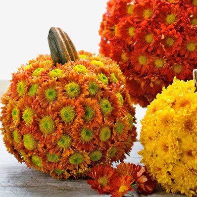 BeyondChrysant tweet media