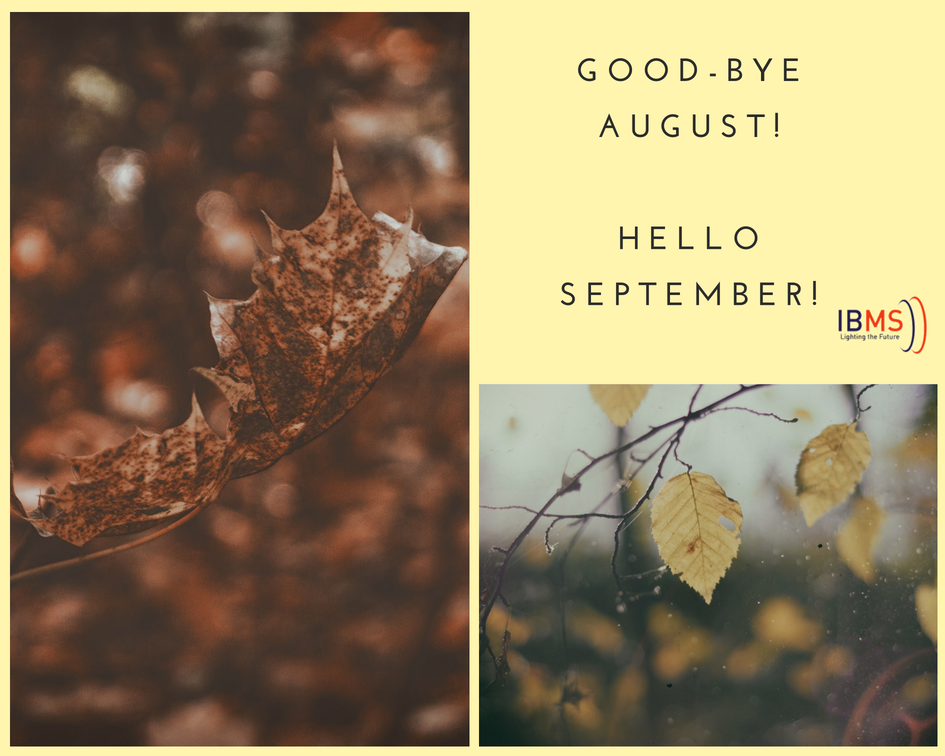ibmsafrica's tweet photo. Thank you for shopping with us in August 💕!

Hello September! Happy new month to Everyone!
#Rwanda #visit_Rwanda #RDB #Ibms_ltd #RwOT https://t.co/LpqHb6PRlF
