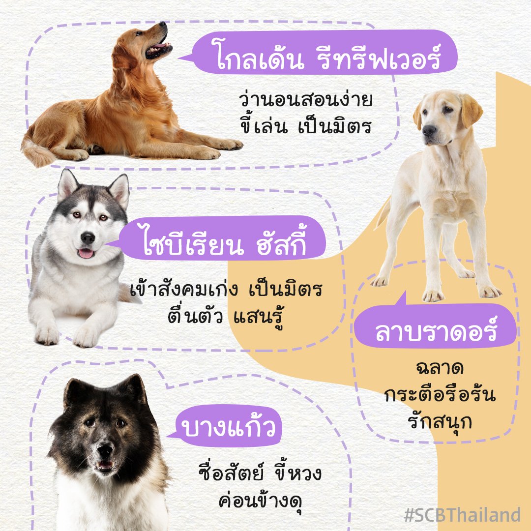 Scb Thailand On X: 