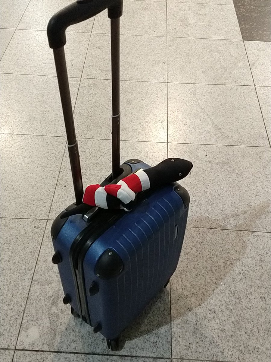 SantaAmizade's tweet photo. Partiu série B 🙏 https://t.co/tV4GjPOcHw