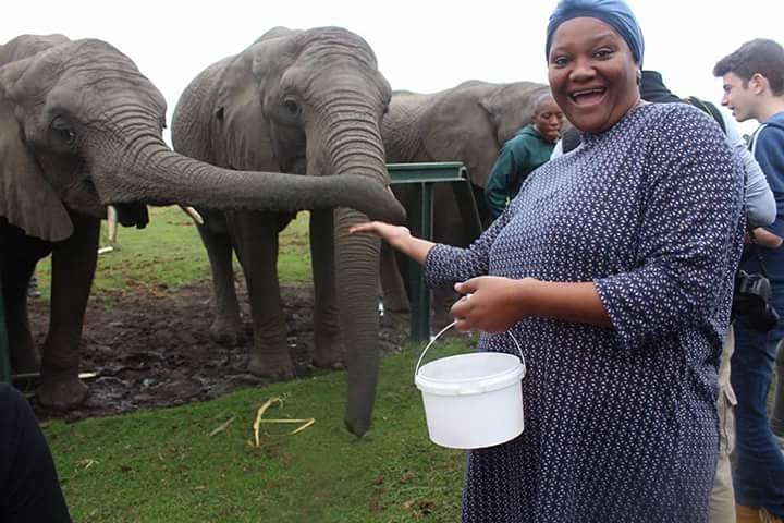 raggie_786's tweet photo. @Caltexsa #FuelYourSpring @Tasneem7 We would love to take a roadtrip through the garden route to see the beautiful elephants at Knysna Elephant Park https://t.co/qYNjPDyOjr
