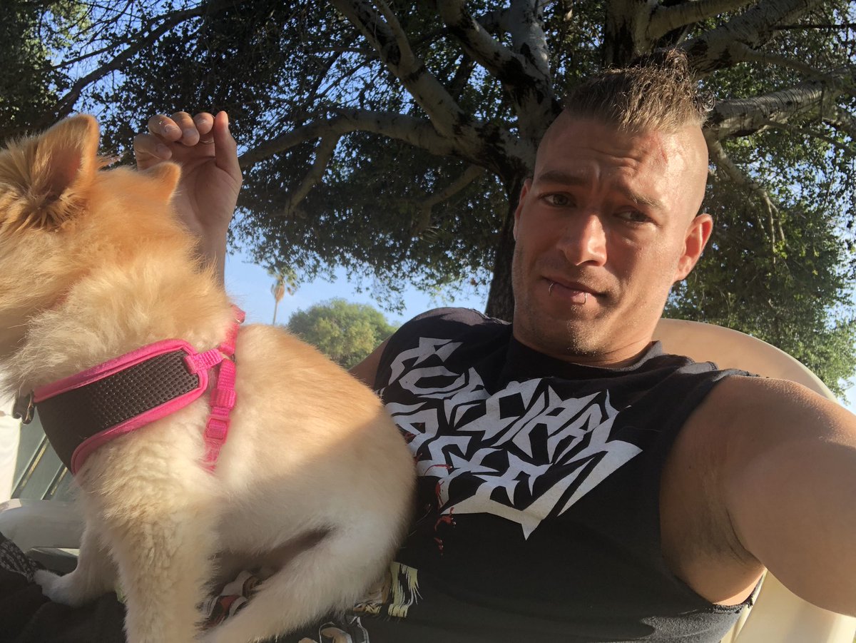 XCorvus777's tweet photo. Hendrix won’t take her butt off Trumps face on my @MUNICIPALWASTE shirt. She gets it. @TommyPistol https://t.co/BwccjNei27