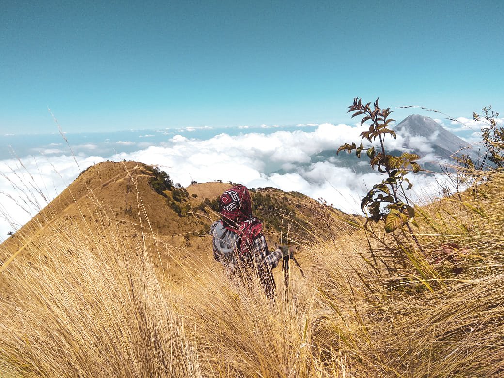 annisaekacc's tweet photo. Ada rasa haru jika menikmati apa yang menjadi kecintaan kita pada alam. Ia bagai sebuah kejutan dengan pertunjukan alamiahnya. Tanpa sentuhan tangan - tangan yang telah terbercak dosa.
#mtmerbabu https://t.co/dXZ8L1Gbr3