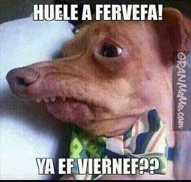 karliru's tweet photo. #Viernes #Friyai #BeerPlease ๐ป https://t.co/vw2EIFBNXV