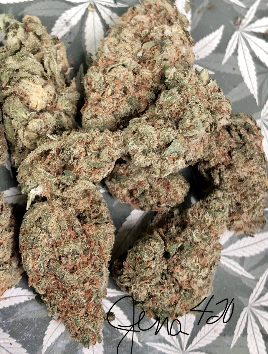 This strain is XJ-13, a Sativa dominant hybrid. 
😍 she’s just gorgeous 😍
#puffpuffpass #stonerfam #staylifted #IAmCannabis #WeShouldSmoke